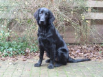 Zoey 6 maanden oud
